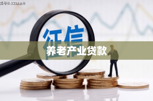 高阳养老产业贷款