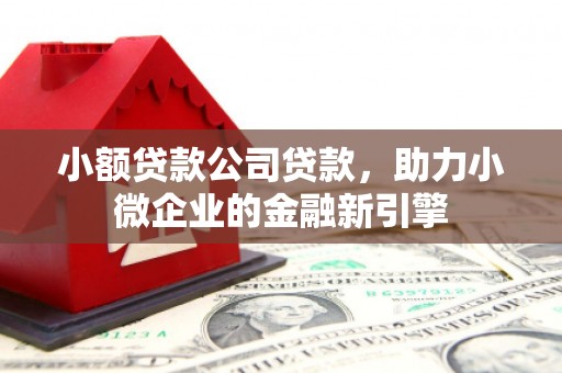 中西小额贷款公司贷款，助力小微企业的金融新引擎