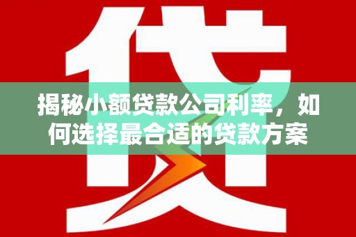 铁力揭秘小额贷款公司利率，如何选择最合适的贷款方案