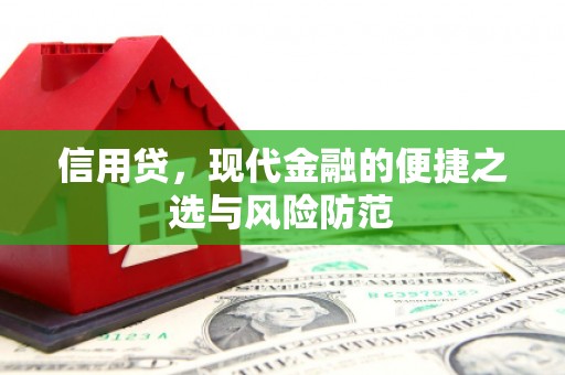 东区信用贷，现代金融的便捷之选与风险防范