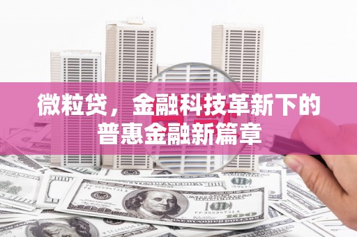 诏安微粒贷，金融科技革新下的普惠金融新篇章
