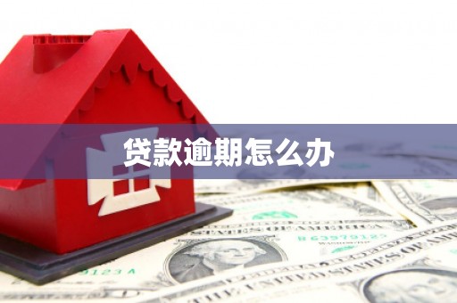 楠西贷款逾期怎么办