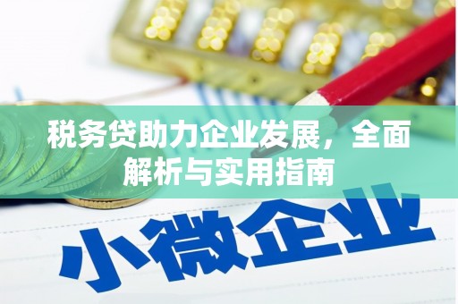 张掖税务贷助力企业发展，全面解析与实用指南