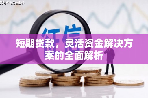 施甸短期贷款，灵活资金解决方案的全面解析