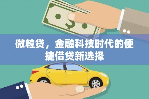 衡水微粒贷，金融科技时代的便捷借贷新选择