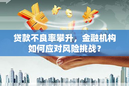 临猗贷款不良率攀升，金融机构如何应对风险挑战？