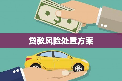 霍邱贷款风险处置方案