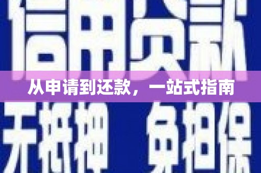 罗东从申请到还款，一站式指南
