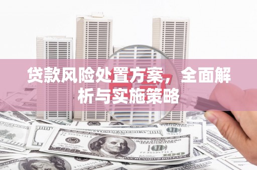 余干贷款风险处置方案，全面解析与实施策略