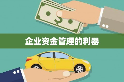 东兴企业资金管理的利器