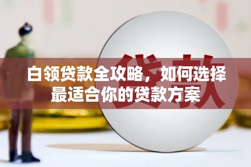 沧县白领贷款全攻略，如何选择最适合你的贷款方案
