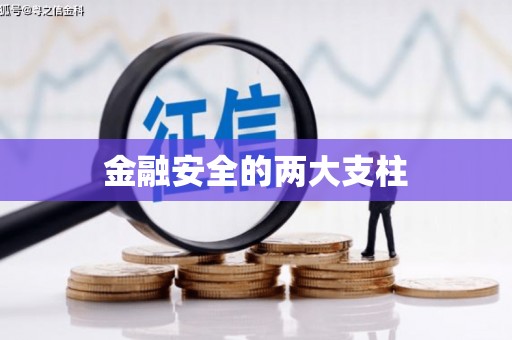 山上金融安全的两大支柱