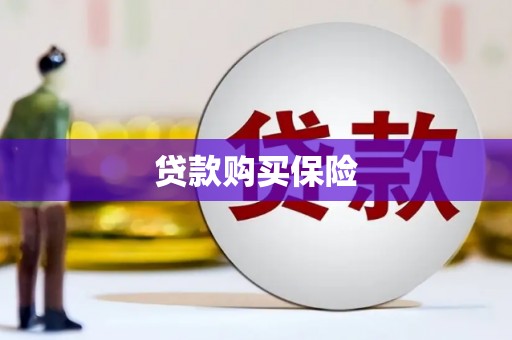 黄南贷款购买保险